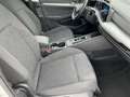 Volkswagen Golf Variant Golf VIII Variant 1.5 eTSI DSG IQ+NAVI+AHK+PANO Weiß - thumbnail 12