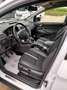 Ford Kuga Kuga Diesel 2.0 TDCi 2x4 Titanium Weiß - thumbnail 7
