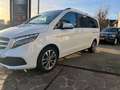 Mercedes-Benz V 250 V 250 d4Matic 9G-TRONIC Avantgarde Edition 2023 Blanc - thumbnail 8