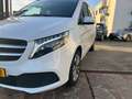 Mercedes-Benz V 250 V 250 d4Matic 9G-TRONIC Avantgarde Edition 2023 Blanc - thumbnail 4