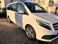 Mercedes-Benz V 250 V 250 d4Matic 9G-TRONIC Avantgarde Edition 2023 Blanc - thumbnail 7