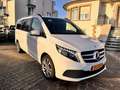 Mercedes-Benz V 250 V 250 d4Matic 9G-TRONIC Avantgarde Edition 2023 Blanc - thumbnail 6