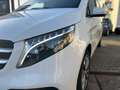 Mercedes-Benz V 250 V 250 d4Matic 9G-TRONIC Avantgarde Edition 2023 Blanc - thumbnail 3