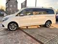 Mercedes-Benz V 250 V 250 d4Matic 9G-TRONIC Avantgarde Edition 2023 Blanc - thumbnail 9