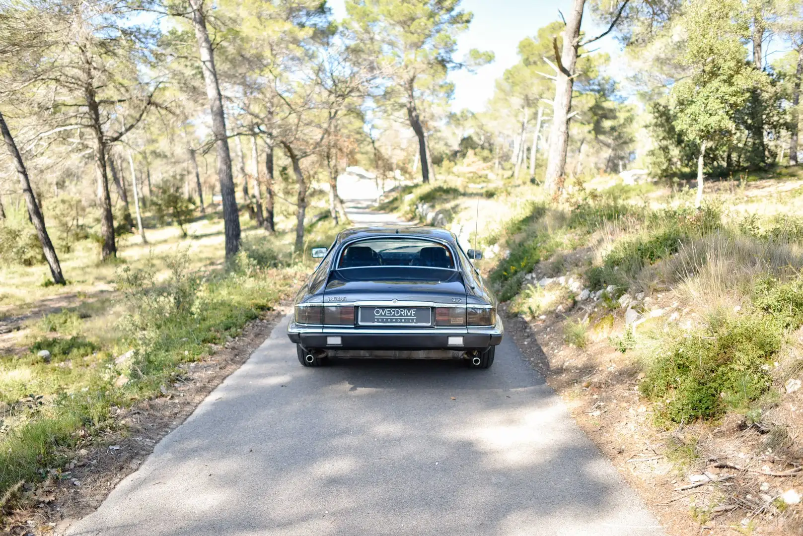 Jaguar XJS XJS 4.0 A Grau - 2