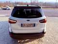 Ford EcoSport ACTIVE - KM 49.000 - STRA FULL - PROMO FINANZIAMEN Blanc - thumbnail 5