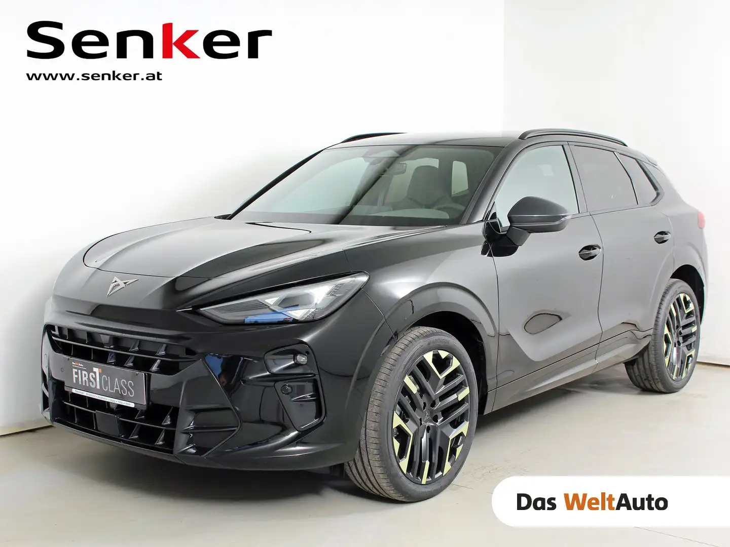 CUPRA Terramar TRIBE 1.5 e-TSI 150 PS DSG Schwarz - 1