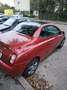 Nissan Micra Basis Verhandlungsbasis - thumbnail 6
