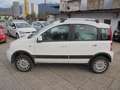 Fiat Panda Panda 1,2 Active Active Weiß - thumbnail 3