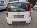 Fiat Panda Panda 1,2 Active Active Weiß - thumbnail 6