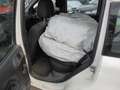 Fiat Panda Panda 1,2 Active Active Weiß - thumbnail 10