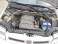 Fiat Panda Panda 1,2 Active Active Weiß - thumbnail 18