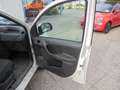 Fiat Panda Panda 1,2 Active Active Weiß - thumbnail 16