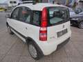 Fiat Panda Panda 1,2 Active Active Weiß - thumbnail 7