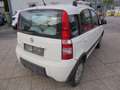 Fiat Panda Panda 1,2 Active Active Weiß - thumbnail 8