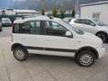 Fiat Panda Panda 1,2 Active Active Weiß - thumbnail 5