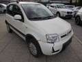 Fiat Panda Panda 1,2 Active Active Weiß - thumbnail 4