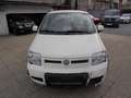 Fiat Panda Panda 1,2 Active Active Weiß - thumbnail 2