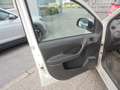 Fiat Panda Panda 1,2 Active Active Weiß - thumbnail 12
