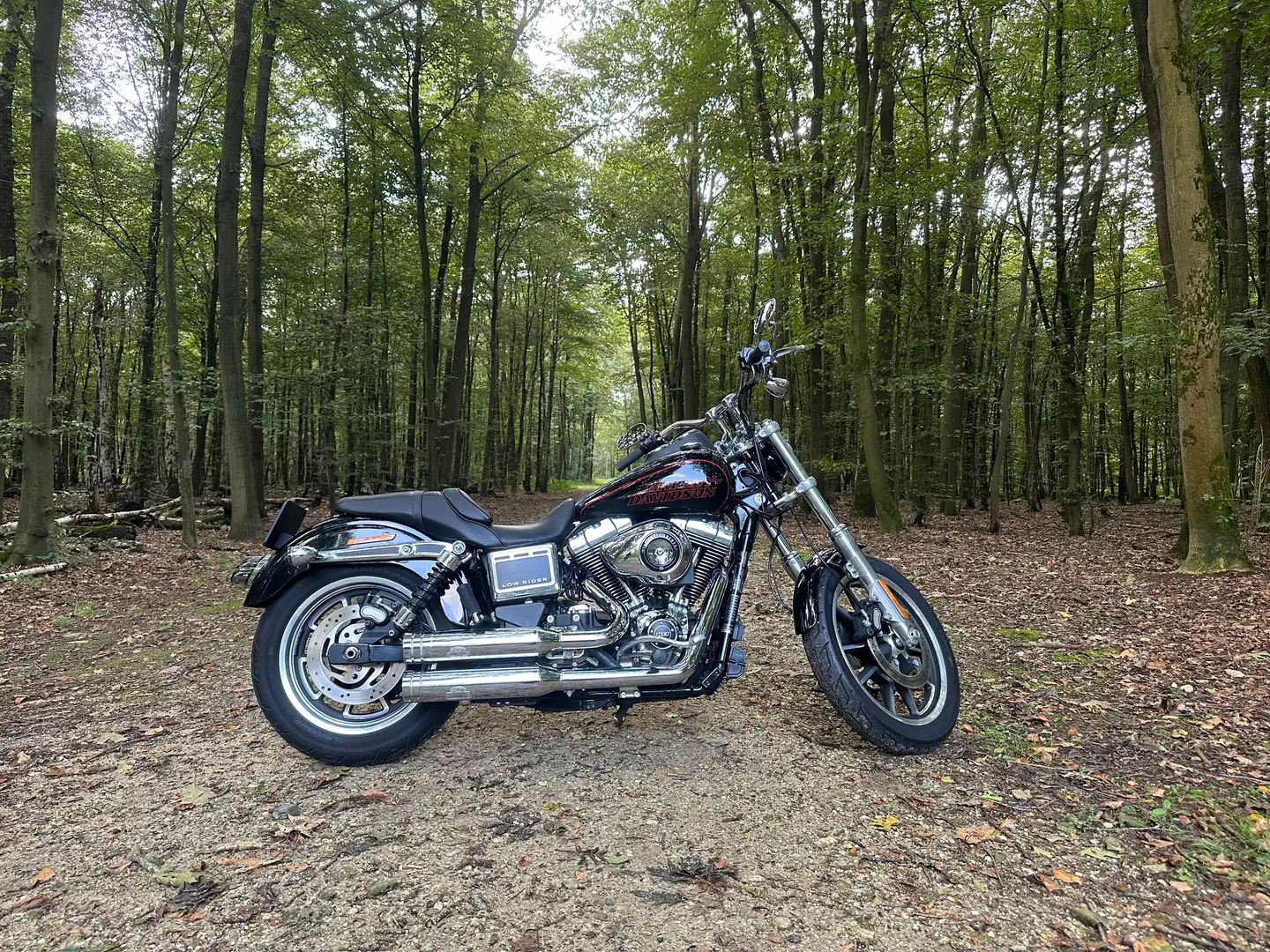 Harley-Davidson Dyna Low Rider FXDL Fekete - 1
