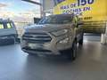 Ford EcoSport 1.0 EcoBoost Titanium 125 Beige - thumbnail 2
