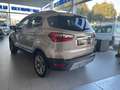 Ford EcoSport 1.0 EcoBoost Titanium 125 Beige - thumbnail 4