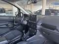 Ford EcoSport 1.0 EcoBoost Titanium 125 Beige - thumbnail 11