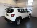 Jeep Renegade 1.0 T3 Limited Bianco - thumbnail 6