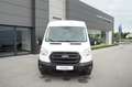 Ford Transit Transit Kasten 2,0 EcoBlue L3H2 350 Trend Weiß - thumbnail 2