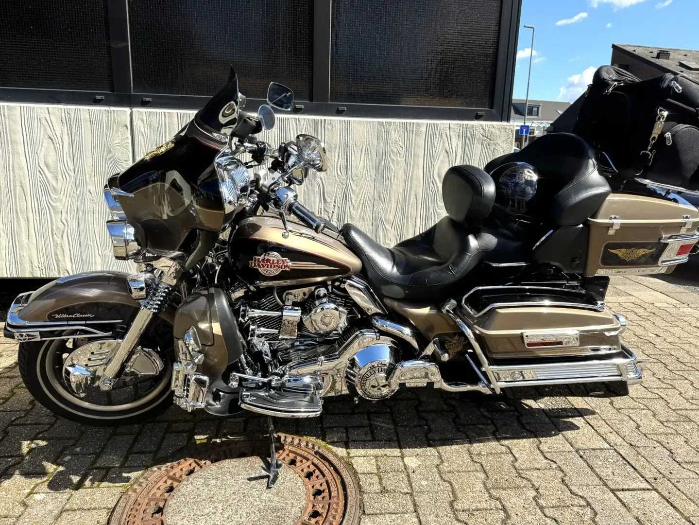 Harley-Davidson Electra Glide Auriu - 1