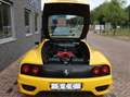 Ferrari 360 modena Gelb - thumbnail 19