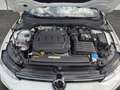 Volkswagen Golf Variant Life TDI Weiß - thumbnail 16