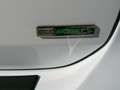 Ford C-Max 1.0 ECOBOOST 125cv S&S TITANIUM Blanc - thumbnail 18