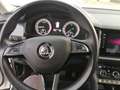 Skoda Kodiaq Skoda Kodiaq 2.0 ,190 cv, 7 posti 4×4,gancio tr Bianco - thumbnail 3