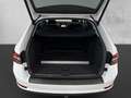 Skoda Superb 2.0TDI DSG LED CAM NAVI VIRTUAL STHZ AHK Weiß - thumbnail 10
