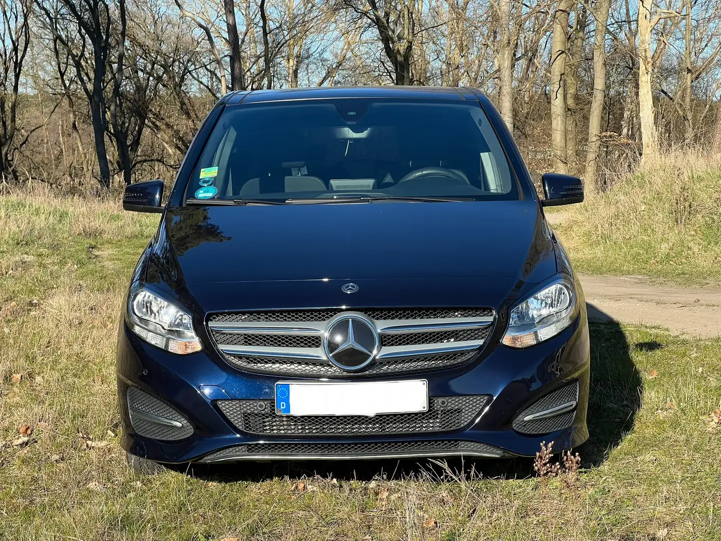 Mercedes-Benz B 160 B 160 (246.241) Azul - 2