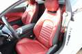 Mercedes-Benz C 220 d Coupe AMG Line Pano 360°-Kamera Leder Weiß - thumbnail 25