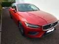 Volvo V60 V60 D3 Inscription,pano,leder, garantie 1 an Rood - thumbnail 7