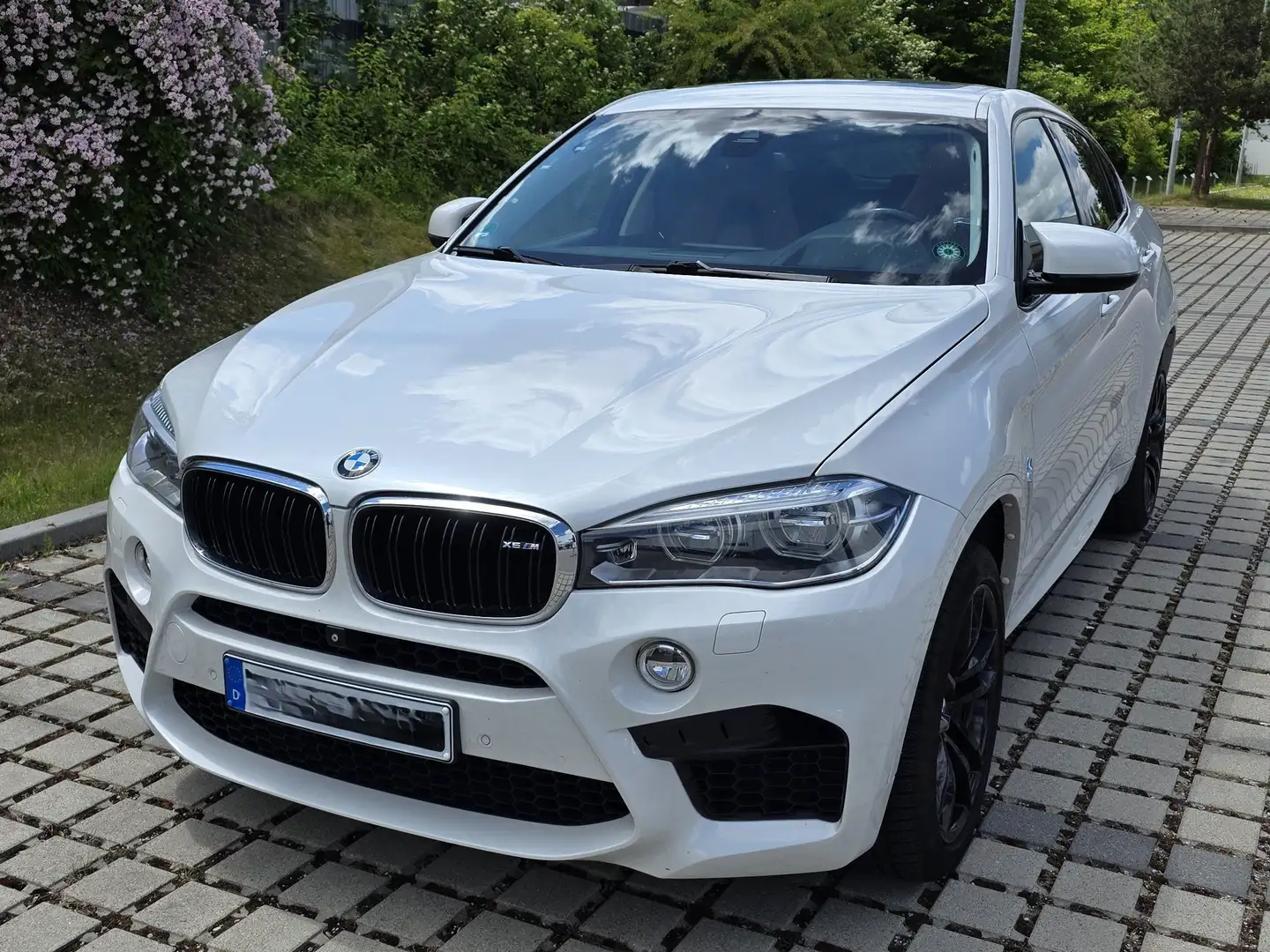 BMW X6 M M Driver's Package Weiß - 1