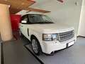 Land Rover Range Rover III 2010 3.6 tdV8 auto Blanc - thumbnail 3