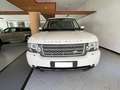 Land Rover Range Rover III 2010 3.6 tdV8 auto Blanc - thumbnail 2
