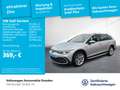 Volkswagen Golf Variant Golf VIII Variant Alltrack 2.0 TDI 4M DSG STHZG Silber - thumbnail 1