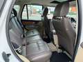 Land Rover Range Rover Sport 3.0SDV6 HSE Aut. Blanco - thumbnail 3