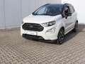 Ford EcoSport ST-Line Start/Stopp 1,0 EcoBoost Bianco - thumbnail 34
