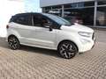 Ford EcoSport ST-Line Start/Stopp 1,0 EcoBoost Bianco - thumbnail 10