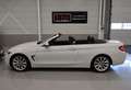 BMW 420 4-serie Cabrio 420i Sportline Leer Nekverwarming S Weiß - thumbnail 3