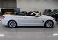BMW 420 4-serie Cabrio 420i Sportline Leer Nekverwarming S Weiß - thumbnail 20