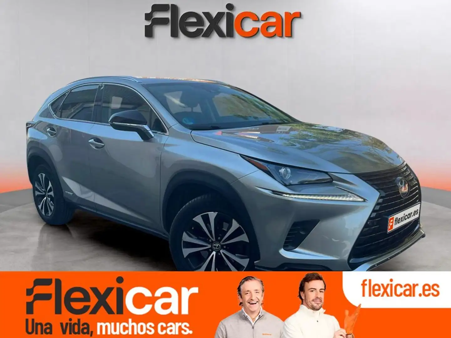Lexus NX 300h 2.5 Premium 2WD Gris - 1