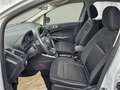 Ford EcoSport Cool&Connect, NAVI, EPH, Winter Paket Wit - thumbnail 4