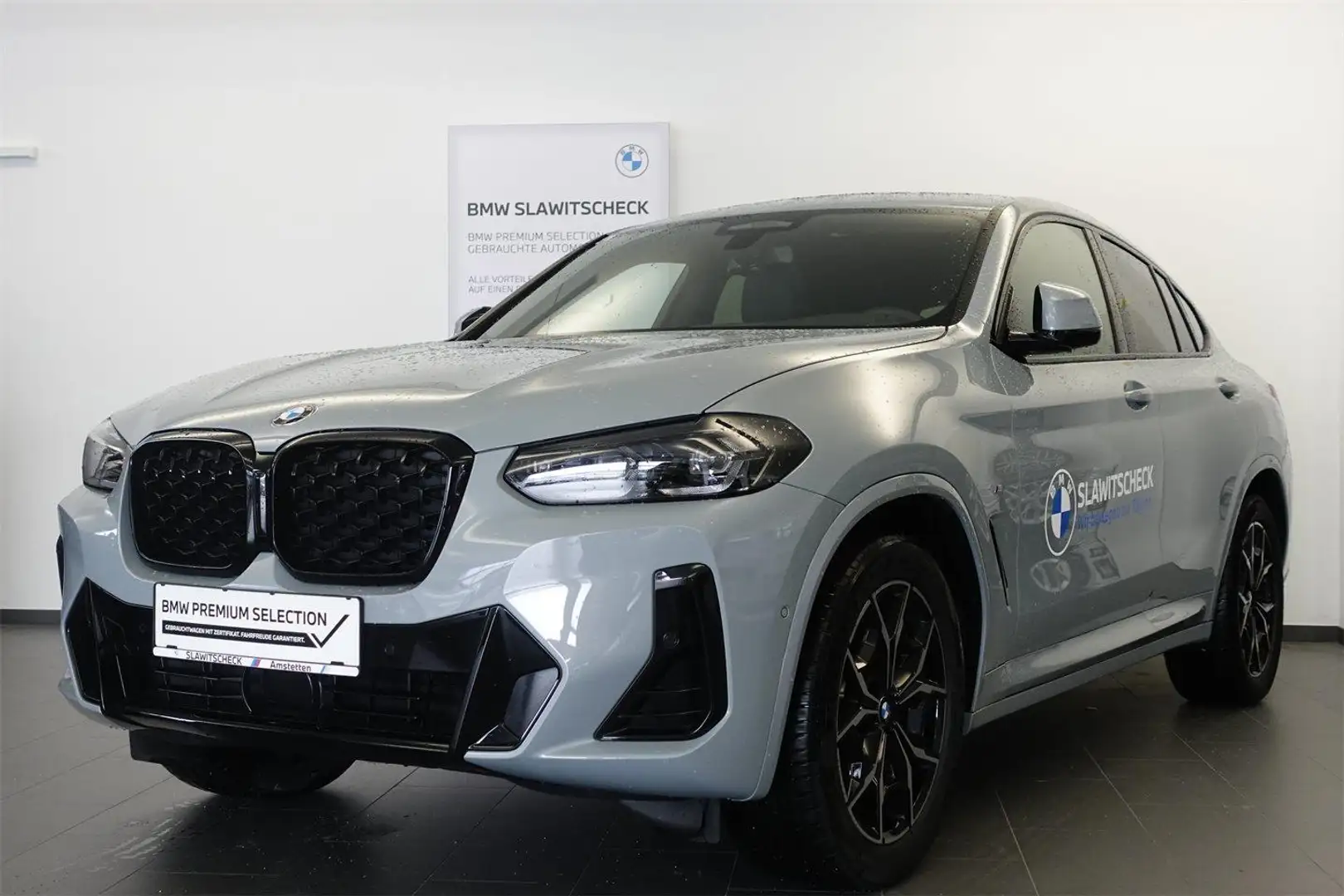 BMW X4 xDrive20d G02 M-Sportpaket Grau - 1